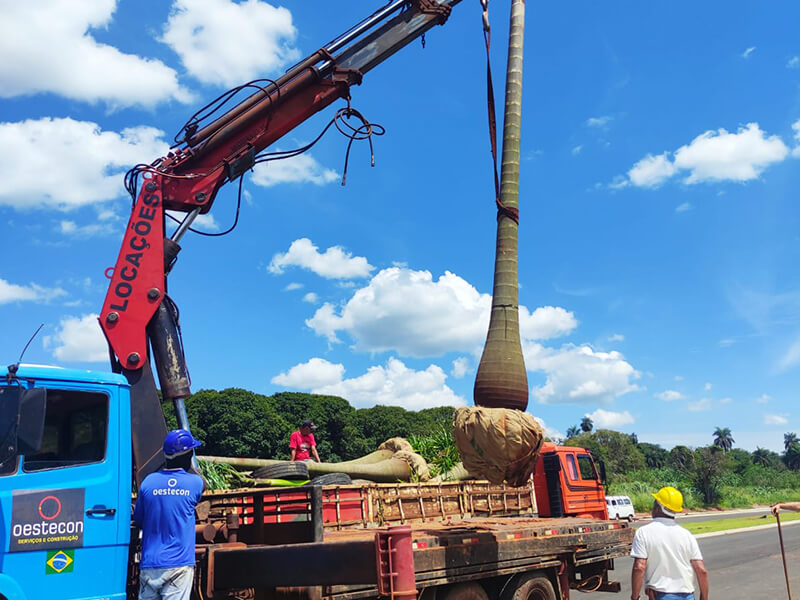 Locações de equipamentos pesados para construção;